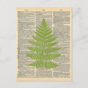  woordenboek Art Green Fern Frond Briefkaart