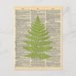  woordenboek Art Green Fern Frond Briefkaart