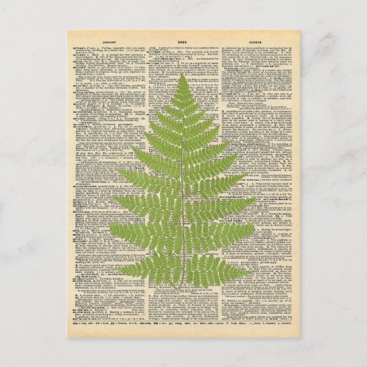  woordenboek Art Green Fern Frond Briefkaart (Voorkant)
