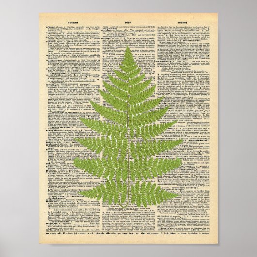  woordenboek Art Green Fern Frond Print (Voorkant)