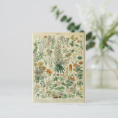 Woordenboek bloemen briefkaart (Staand voorkant)