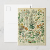 Woordenboek bloemen briefkaart (Voorkant / Achterkant)