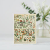 Woordenboek bloemen briefkaart (Staand voorkant)