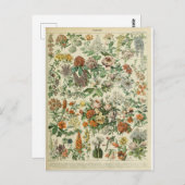 Woordenboek bloemen briefkaart (Voorkant / Achterkant)