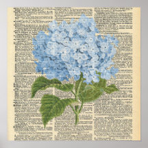  woordenboek Blue Hydrangea Flower Poster