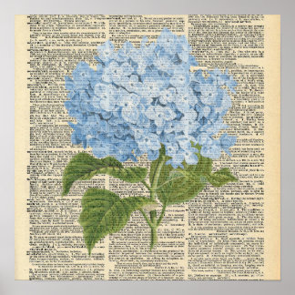 woordenboek Blue Hydrangea Flower Poster