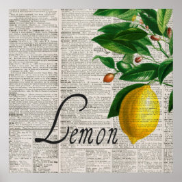  woordenboek en handgemaakte lemonstructuur poster