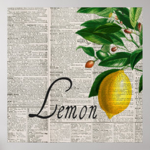 woordenboek en handgemaakte lemonstructuur poster