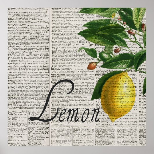  woordenboek en handgemaakte lemonstructuur poster (Voorkant)
