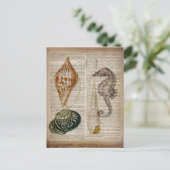 woordenboek frans  land seashell briefkaart (Staand voorkant)