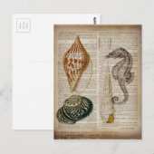 woordenboek frans  land seashell briefkaart (Voorkant / Achterkant)