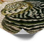 woordenboek frans  land seashell poster (Hoek)