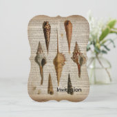 woordenboek franse botanische strandspieren kaart (Staand voorkant)