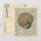 woordenboek Kunst prachtige voetgangersvogel Briefkaart (Voorkant / Achterkant)