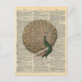  woordenboek Kunst prachtige voetgangersvogel Briefkaart