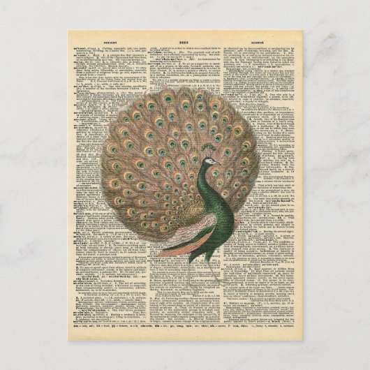 woordenboek Kunst prachtige voetgangersvogel Briefkaart (Voorkant)