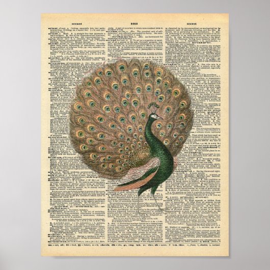  woordenboek Kunst prachtige voetgangersvogel Poster (Voorkant)