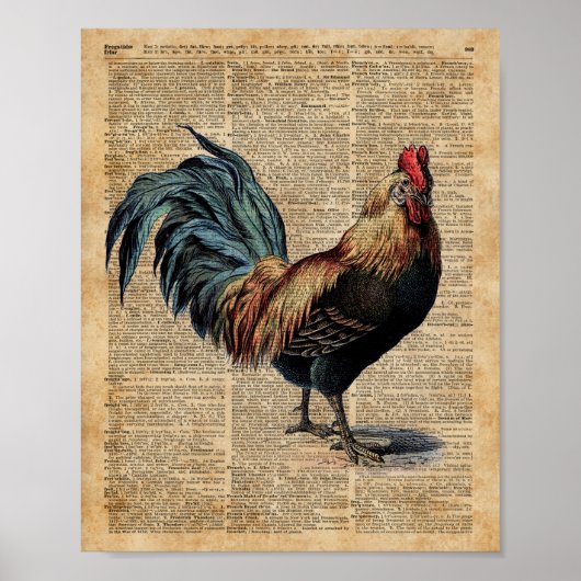  woordenboekpagina Cottage Rooster Poster (Voorkant)