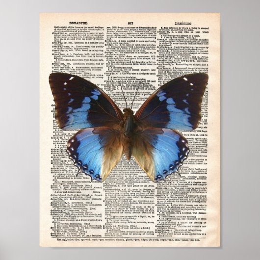  woordenboekpagina en blauwe vlinder poster (Voorkant)