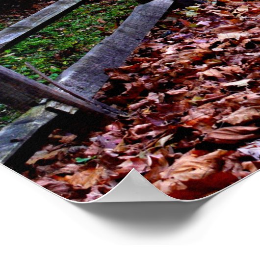 Woosterpad Poster (Hoek)