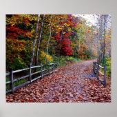 Woosterpad Poster (Voorkant)