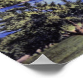 Worcester Massachusetts Green Hill Park Poster (Hoek)