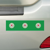 Worcester, Massachusetts, Verenigde Staten Bumpersticker (Op auto)