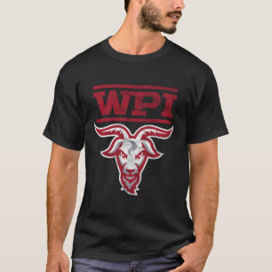 Worcester Polytechnic Institute Engineers Large T-shirt