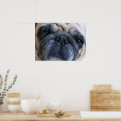 Word gauw beter ziek puggond hond poster (Keuken)