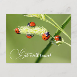 Word gauw weer beter met lieve kleine lieveheersbe briefkaart