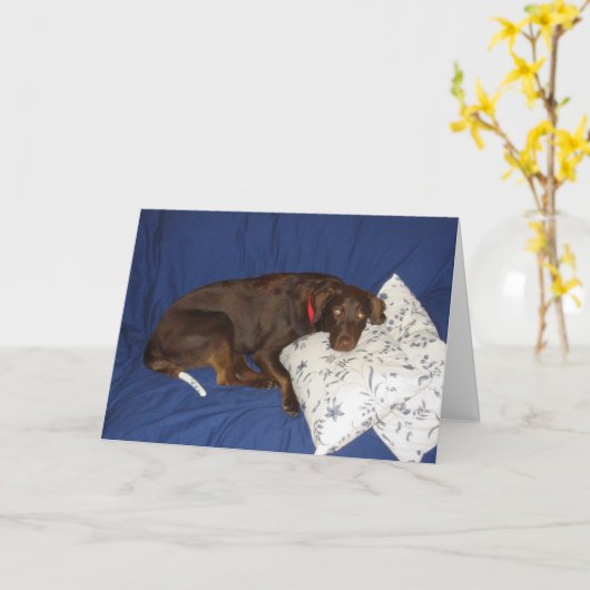 Word goed Jake Kaart (Gele Bloem)