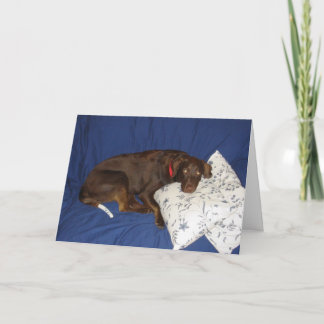 Word goed Jake Kaart