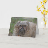 Word goed kaart-Humor/Ruw Kaart (Gele Bloem)