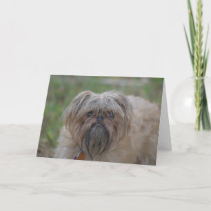 Word goed kaart-Humor/Ruw Kaart