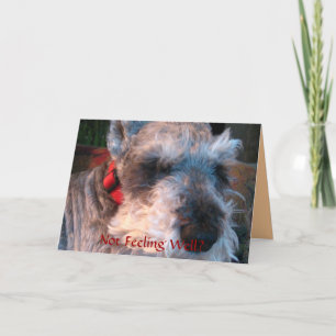 Word goed spoedig, Hoopvol Kaart