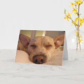 WORD GOED SPOEDIG KAART (Gele Bloem)