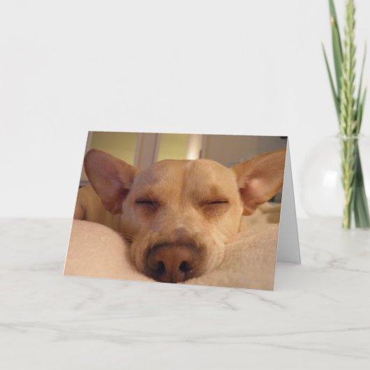 WORD GOED SPOEDIG KAART (Voorkant)