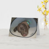 Word goed spoedig kaart (Gele Bloem)