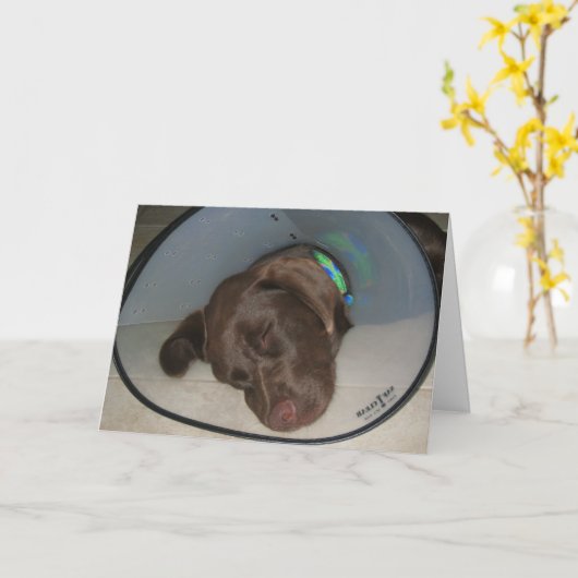 Word goed spoedig kaart (Gele Bloem)