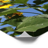 Word lid van de familie poster (Hoek)