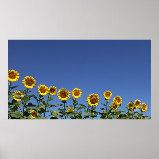 Word lid van de familie poster (Voorkant)