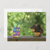 Word nou eekhoorn briefkaart (Voorkant / Achterkant)