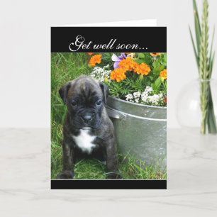 Word snel gezond Boxer puppy wenskaart Kaart