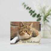 Word snel gezond Cat Kaart (Staand voorkant)