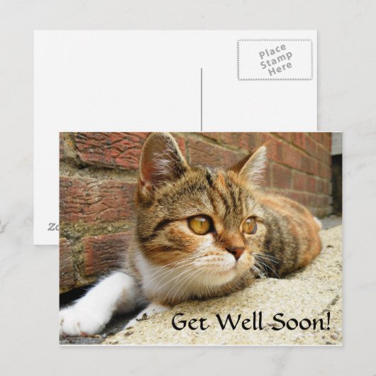 Word snel gezond Cat Kaart (Voorkant / Achterkant)