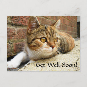 Word snel gezond Cat Kaart