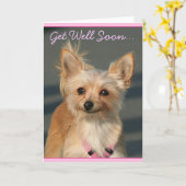 Word snel gezond Chihuahua wenskaart Kaart (Gele Bloem)