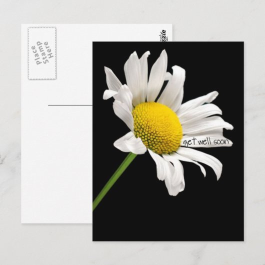 Word snel gezond Daisy Briefkaart (Voorkant / Achterkant)