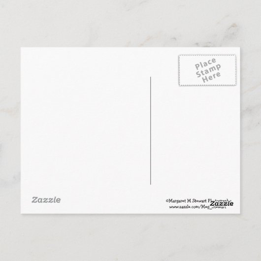 Word snel gezond Daisy Briefkaart (Achterkant)