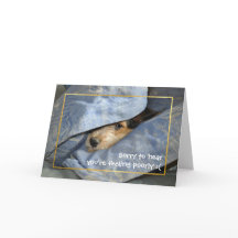 Word snel gezond hond